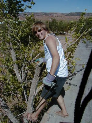 John sawing a tree on the roof of Gibbons House.